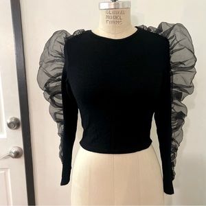 Zara Black Sheer Sleeves Ribbed Top